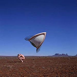 CRANBERRIES / クランベリーズ / BURY THE HATCHET [2LP] (180 Gram) / BURY THE HATCHET
