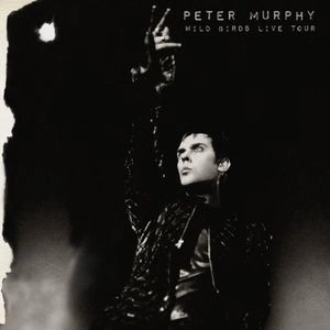 PETER MURPHY / ピーター・マーフィー / WILD BIRDS LIVE TOUR
