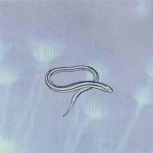 CROOKED FINGERS / クルックト・フィンガーズ / BRING ON THE SNAKES