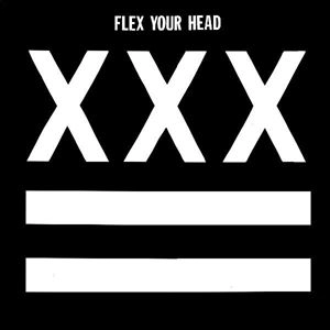 V.A. / オムニバス / FLEX YOUR HEAD