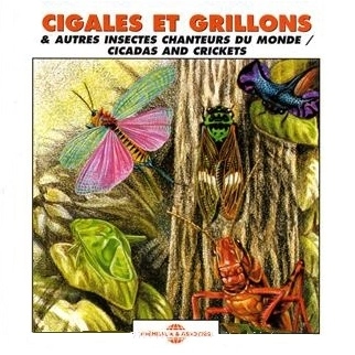 CICADAS AND CRIKETS / シカーダ&クリケッツ / CIGALES ET GRILLONS & AUTRES INSECTES CHANTEURS DU MONDE