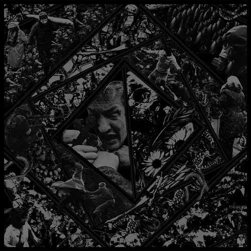 BITTERNESS EXHUMED : OPTIMIST / SPLIT