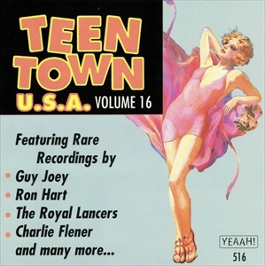 V.A. / オムニバス / TEEN TOWN U.S.A. VOLUME 16