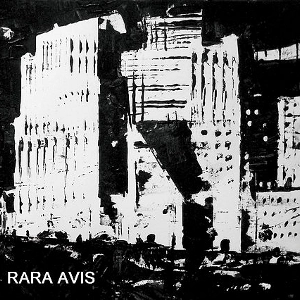 KEN VANDERMARK / ケン・ヴァンダーマーク / RARE AVIS
