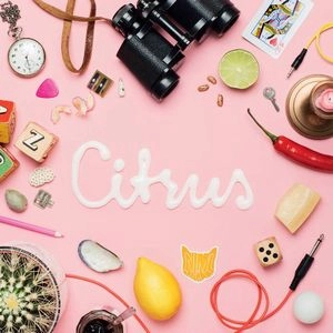 ANIMAL DAYDREAM / CITRUS EP