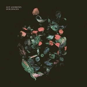 GUY ANDREWS / OUR SPACES