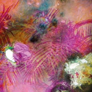 PANTHERA KRAUSE / UMAMI EP