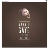 MARVIN GAYE / マーヴィン・ゲイ / MARVIN GAYE VOL.3: 1971 - 1981 (8LP BOX)