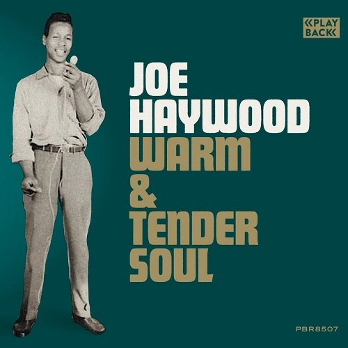 JOE HAYWOOD / ジョー・ヘイウッド / WARM & TENDER SOUL