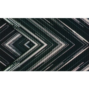 Sakanaction / サカナクション / "SAKANAQUARIUM 2015-2016 “NF Records launch tour"" -LIVE at NIPPON BUDOKAN 2015.10.27-"