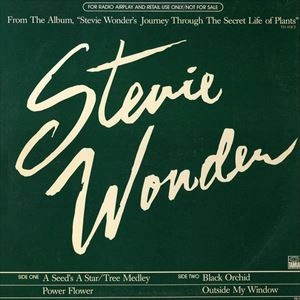 STEVIE WONDER / スティーヴィー・ワンダー / A SEED'S A STAR