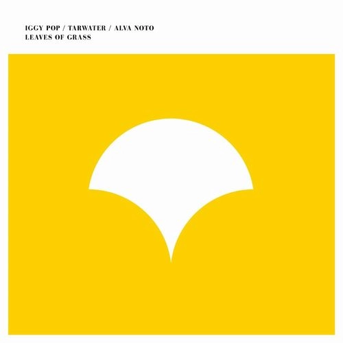 IGGY POP / TARWATER / ALVA NOTO / LEAVES OF GRASS