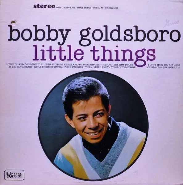 BOBBY GOLDSBORO / ボビー・ゴールズボロ / LITTLE THINGS