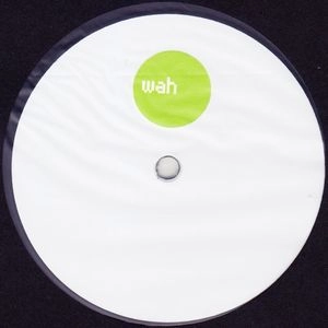 V.A. / FLY IN THE HOUSE(YOU SHOULD HAVE KNOWN)/YOUR LOVE IS TEPID