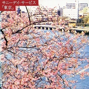Sunny Day Service / サニーデイ･サービス / TOKYO / 東京（SHM-CD）