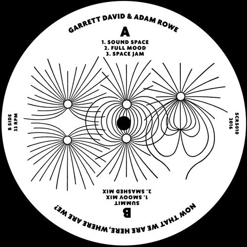 GARRETT DAVID & ADAM ROWE / NOW THAT WE ARE HERE, WHERE ARE WE?