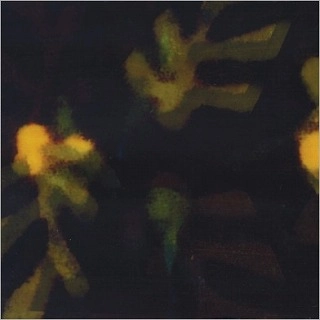 LOREN CONNORS & CLINT HEIDORN / LIGHT