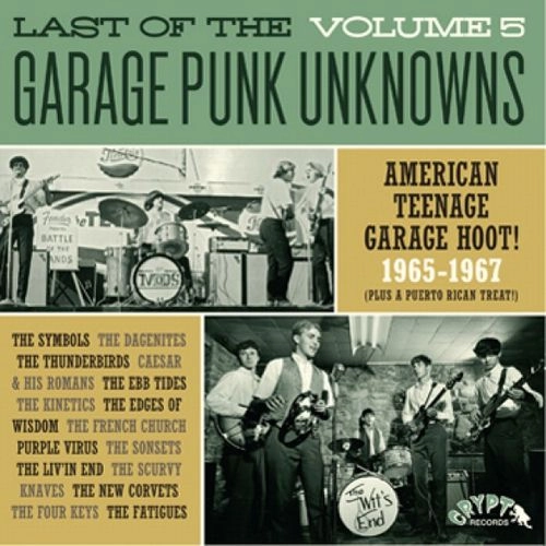 V.A. (THE LAST OF THE GARAGE PUNK UNKNOWNS) / THE LAST OF THE GARAGE PUNK UNKNOWNS VOLUME 5