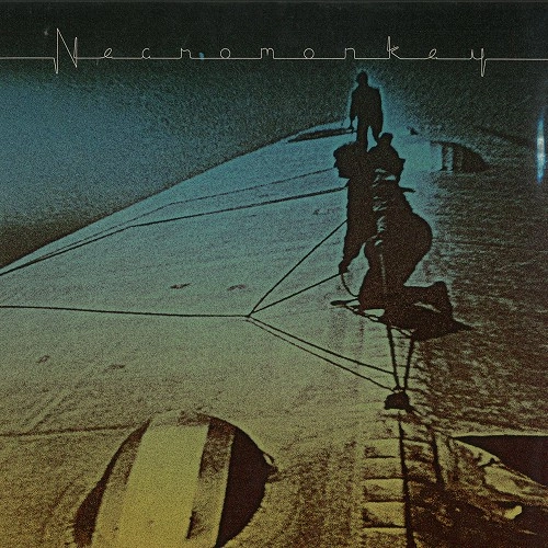 NECROMONKEY / ネクロモンキー / A GLIMPSE OF POSSIBLE ENDINGS: LIMITED COLOUR VINYL
