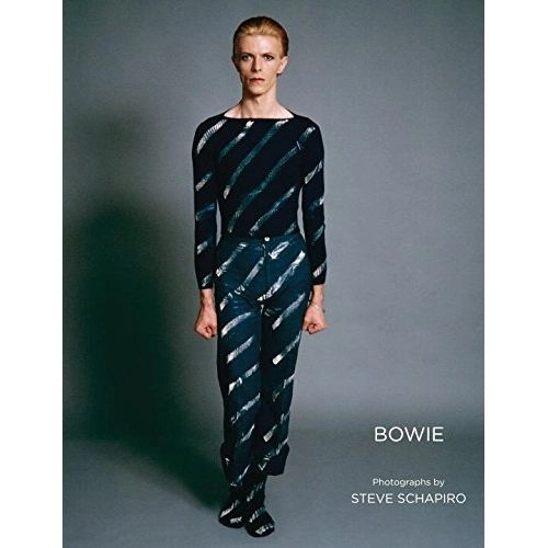 DAVID BOWIE / デヴィッド・ボウイ / BOWIE (STEVE SCHAPIRO)