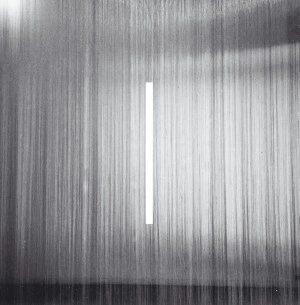 SAMUEL KERRIDGE / FATAL LIGHT ATTRACTION