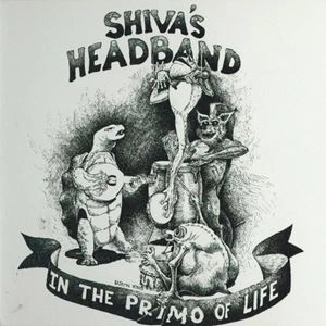 SHIVA'S HEADBAND / シヴァズ・ヘッドバンド / IN THE PRIMO OF LIFE