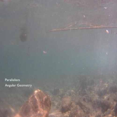 PARALLELISM / ANGULAR GEOMETRY
