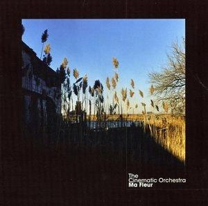 CINEMATIC ORCHESTRA / シネマティック・オーケストラ / ＭＡ　ＦＬＥＵＲ