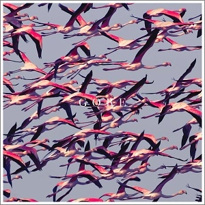 DEFTONES / デフトーンズ / GORE / GORE [2LP VINYL]