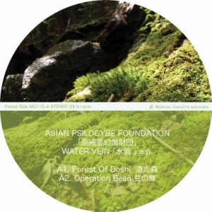 ASIAN PSILOCYBE FOUNDATION / WATER VEIN E.P