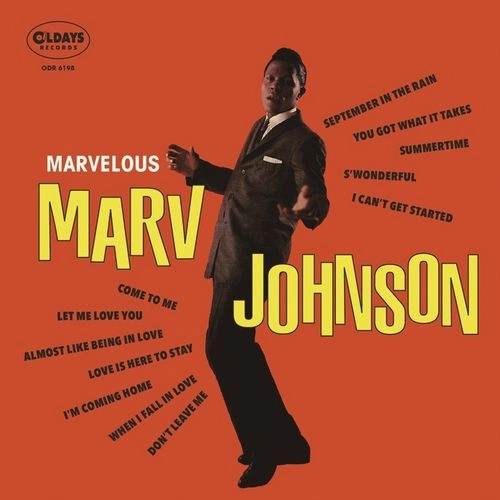 MARV JOHNSON / マーヴ・ジョンソン / マーヴェラス･マーヴ･ジョンソン / MARVELOUS MARV JOHNSON