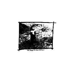 PHOENIX FOUNDATION (FIN) / HOURS E.P.