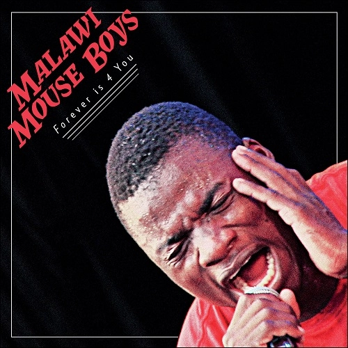 MALAWI MOUSE BOYS / マラウィ・マウス・ボーイズ / FOREVER IS 4 YOU