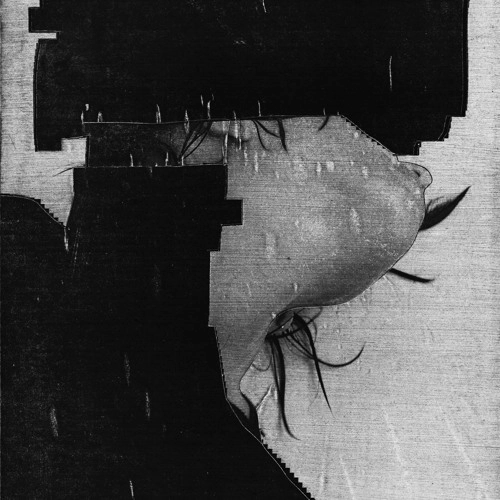 THESE HIDDEN HANDS / THESE MOMENTS DISMANTLED