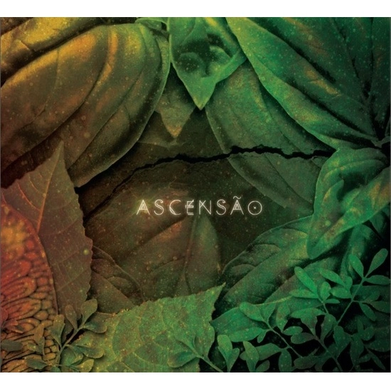 SERENA ASSUMPCAO / セレーナ・アスンプサォン / ASCENSAO