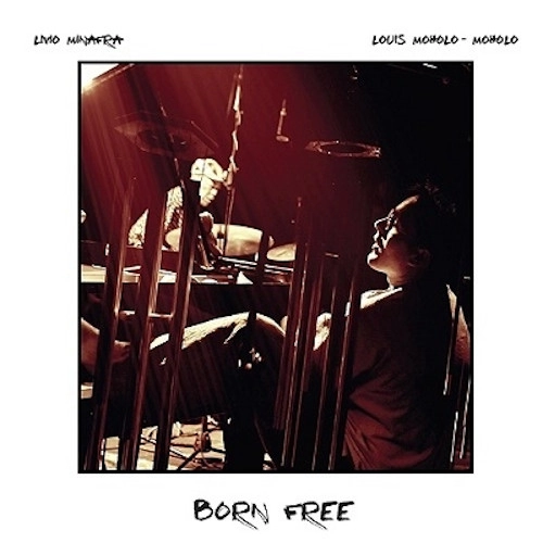 LIVIO MINAFRA / BORN FREE