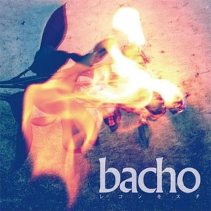 bacho / レコンキスタ