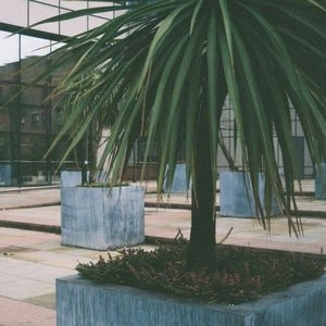MARX TRUKKER / AMONG CLIMETREE HARBORS
