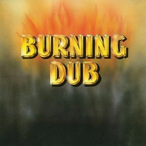 REVOLUTIONARIES / レヴォリューショナリーズ / BURNING DUB (180 GRAM)