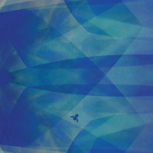 CYRO BAPTISTA / シロ・バプティスタ / Bluefly