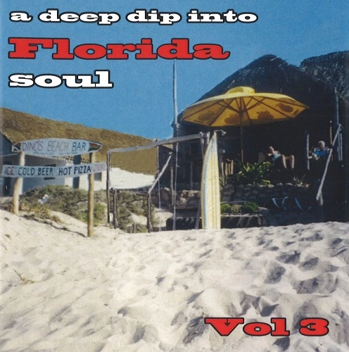 V.A. (A DEEP DIP INTO) / DEEP DIP INTO FLORIDA SOUL VOL.3