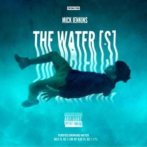 MICK JENKINS / THE WATER[S]