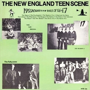 V.A. / オムニバス / NEW ENGLAND TEEN SCENE