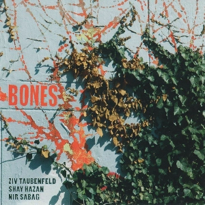 ZIV TAUBENFELD / Bones