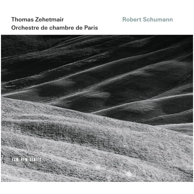 THOMAS ZEHETMAIR / トーマス・ツェートマイアー / SCHUMANN:VIOLIN CONCERTO/SYMPHONY NO.1
