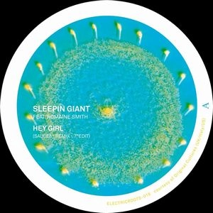 SLEEPIN GIANT / VANDETTA / ＳＡＵＣＥ８１　ＲＥＭＩＸＥＳ
