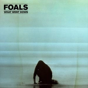 FOALS / フォールズ / WHAT WENT DOWN