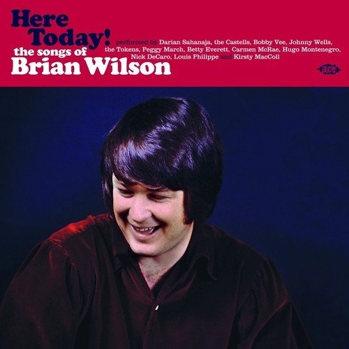 BRIAN WILSON / ブライアン・ウィルソン / HERE TODAY! THE SONGS OF BRIAN WILSON