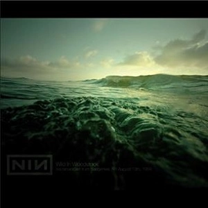 NINE INCH NAILS / ナイン・インチ・ネイルズ / WILD IN WOODSTOCK - LIVE BROADCAST FROM SAUGERTIES, NY, AUGUST 13TH, 1994