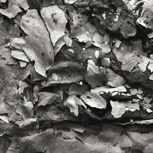 V.A. / FRAGMENTS OF DUB PART 1